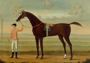 Un caballo de carreras bay con su jinete en un hipódromo