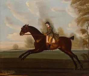 Sportsman, A Bay Hunter con Gentleman Up en un paisaje boscoso