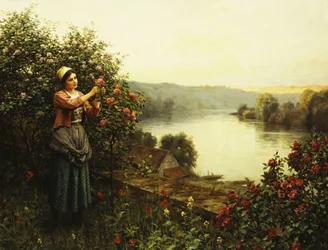 Flores de Verano