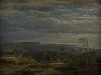 Vista de un paisaje boscoso en Jutlandia