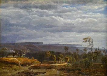 Vista de un paisaje boscoso en Jutlandia