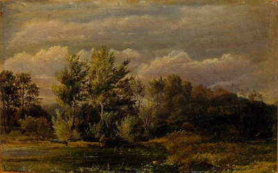 Un lago forestal rodeado de abedules. Estudio.