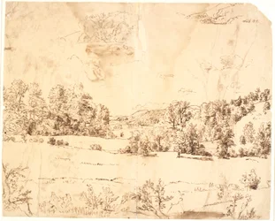 Un claro en el bosque entre colinas arboladas