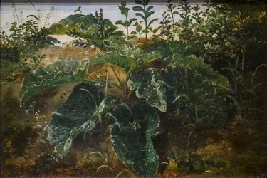 Estudio de primer plano con hojas de muelle