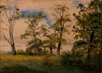 Paisaje con árboles aislados