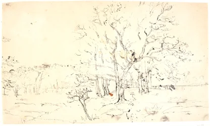 Paisaje con Árboles
