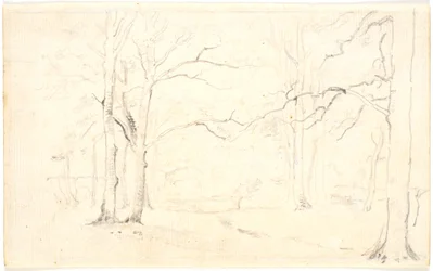 Interior de bosque en invierno