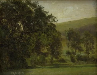 Árboles en Vissenbjerg, Funen