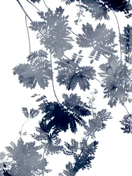 Ecología profunda 1 Azul grisáceo