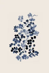 Floración floral índigo
