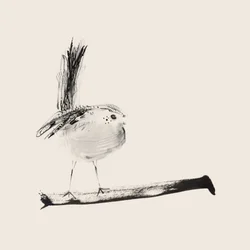 Dibujo de un herrerillo de cola larga