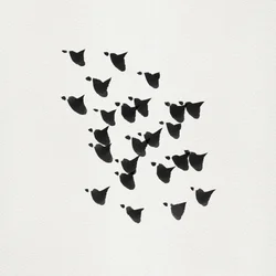 El vuelo de las aves minimalistas
