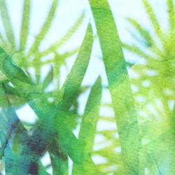 Acuarela: Hierba verde