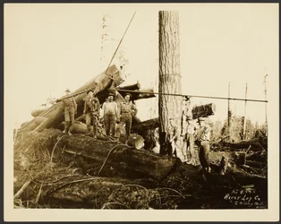 [Loggers]