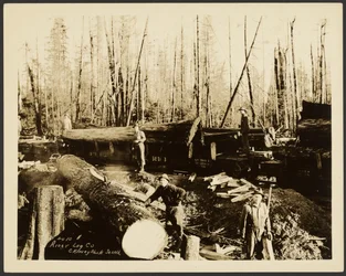 [Loggers]