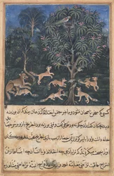 Página de Cuentos de un loro Tuti-nama: Quinta noche: La madre loro advierte..., c. 1560