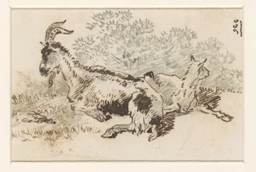 Cabra y cabrito en un paisaje