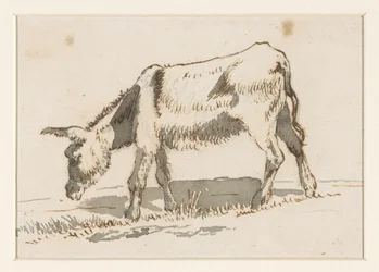 Burro de pastoreo, desde la izquierda