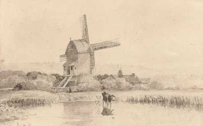 Ganado bebiendo agua junto a un molino de viento en Dulwich Common, 1811