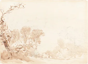 Ladera y árboles