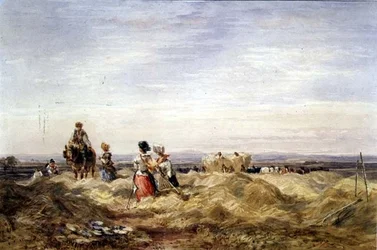 En el campo de heno