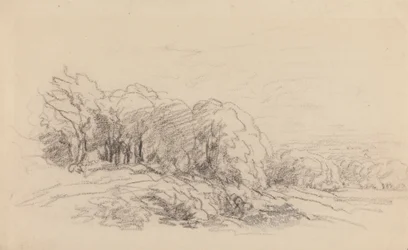 Paisaje con árboles