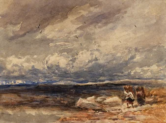 En Carrington Moss