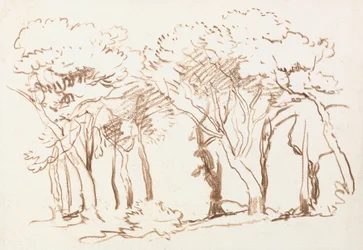 Estudio de los árboles