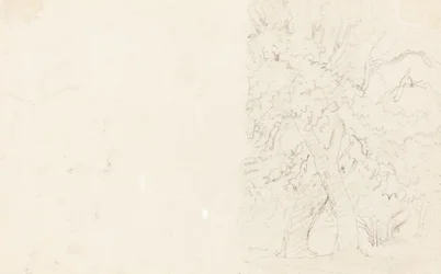 Árboles (verso)