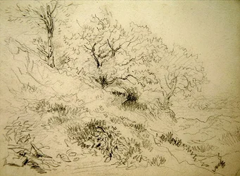 Paisaje galés