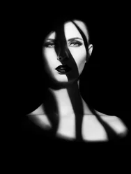 Retrato dramático en sombra