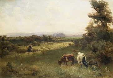 Una tarde de verano cerca de Blairgowrie
