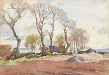 Árboles de invierno ( acuarela)