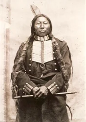 Rey Cuervo