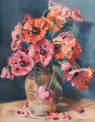 Amapolas