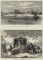 La Visita del Príncipe a la India