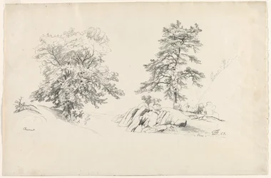 Castaño y pino, 1869