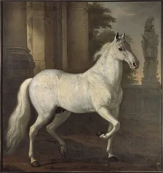 El caballo favorito de Carlos XI, Brilliant