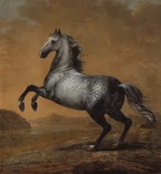 El pequeño inglés, caballo del rey Karl XI (1655-97)