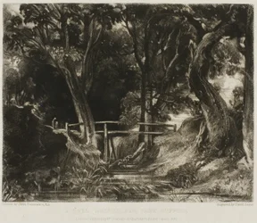 Un valle, Parque Helmingham, Suffolk