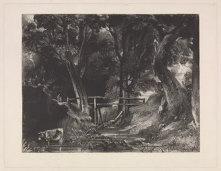A Dell, Helmingham Park, Suffolk