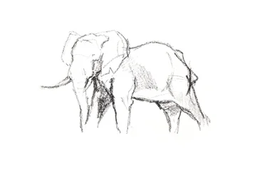Bull Elephant, 2021 (lápiz sobre papel)