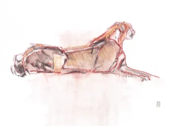 Alerta de guepardo, 2019 (crayón/acuarela sobre papel)