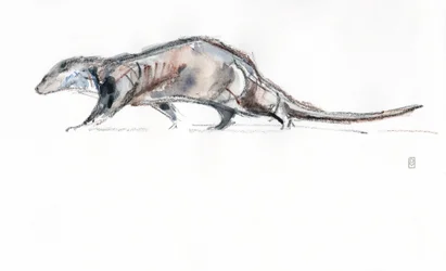 Nutria corriendo, 2022 (acuarela/crayón sobre papel)