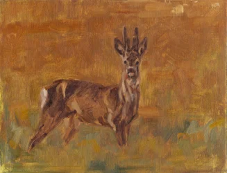 Roe Buck, 2021