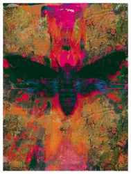 Collage de polilla de la muerte