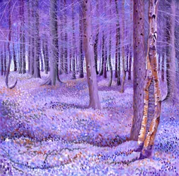 Bosque púrpura 2, 2012