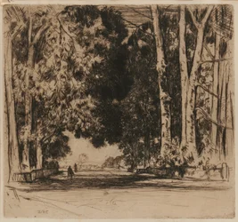 La Avenida