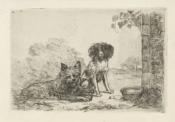 Dos perros