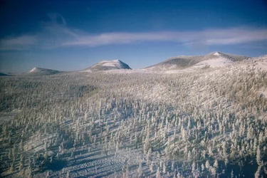 Siberia en invierno paisaje sobre pantano y bosques cubiertos de nieve

